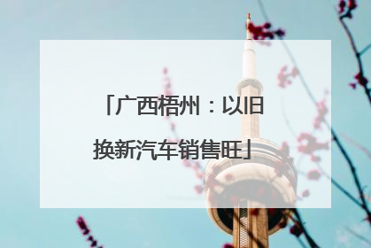 广西梧州：以旧换新汽车销售旺