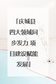 庆城县 四大领域同步发力 项目建设赋能发展