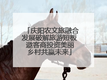 庆阳农文旅融合发展破解旅游短板 邀客商投资美丽乡村共赢未来