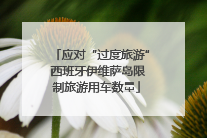 应对“过度旅游” 西班牙伊维萨岛限制旅游用车数量