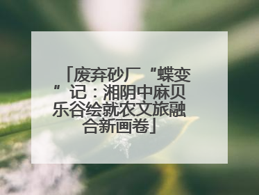 废弃砂厂“蝶变”记：湘阴中麻贝乐谷绘就农文旅融合新画卷