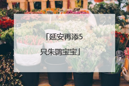 延安再添5只朱鹮宝宝