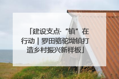 建设支点·“镇”在行动｜罗田骆驼坳镇打造乡村振兴新样板