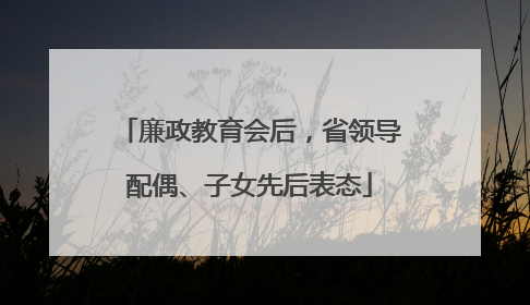 廉政教育会后，省领导配偶、子女先后表态