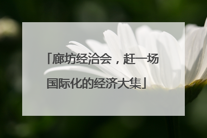 廊坊经洽会，赶一场国际化的经济大集