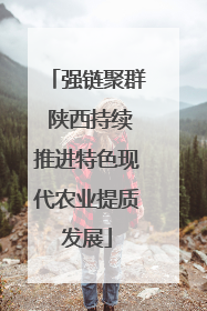 强链聚群 陕西持续推进特色现代农业提质发展