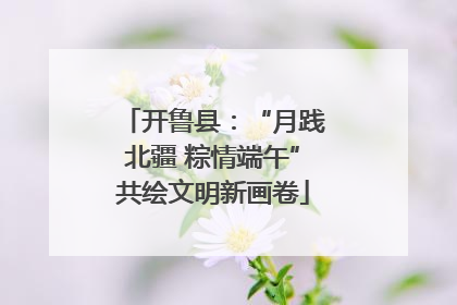 开鲁县：“月践北疆 粽情端午”共绘文明新画卷