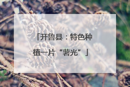 开鲁县：特色种植一片“薯光”