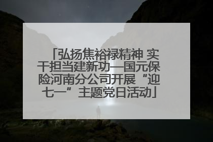 弘扬焦裕禄精神 实干担当建新功—国元保险河南分公司开展“迎七一”主题党日活动