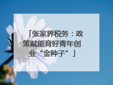 张家界税务：政策赋能育好青年创业“金种子”
