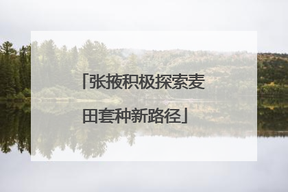 张掖积极探索麦田套种新路径