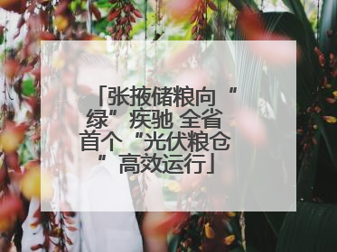 张掖储粮向“绿”疾驰 全省首个“光伏粮仓”高效运行