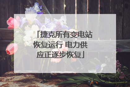 捷克所有变电站恢复运行 电力供应正逐步恢复