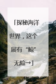 探秘海洋世界，这个展有“鲸”无险→