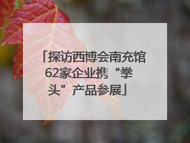 探访西博会南充馆 62家企业携“拳头”产品参展
