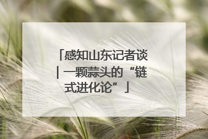 感知山东记者谈｜一颗蒜头的“链式进化论”