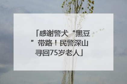 感谢警犬“黑豆”带路！民警深山寻回75岁老人