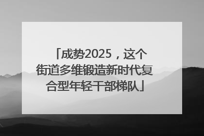 成势2025，这个街道多维锻造新时代复合型年轻干部梯队