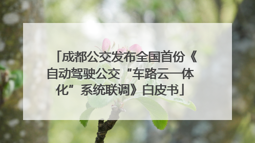 成都公交发布全国首份《自动驾驶公交“车路云一体化”系统联调》白皮书