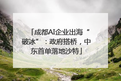 成都AI企业出海“破冰”：政府搭桥，中东首单落地沙特