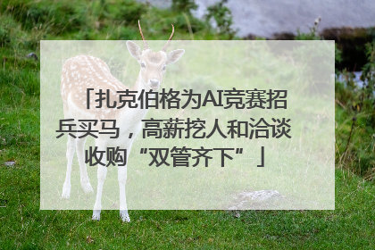 扎克伯格为AI竞赛招兵买马，高薪挖人和洽谈收购“双管齐下”
