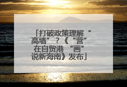 打破政策理解“高墙”？《“营”在自贸港 “画”说新海南》发布