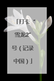 打卡“雪龙2”号（记录中国）