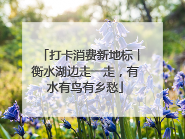打卡消费新地标丨衡水湖边走一走，有水有鸟有乡愁