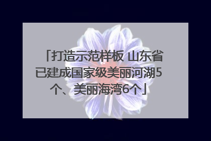 打造示范样板 山东省已建成国家级美丽河湖5个、美丽海湾6个