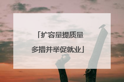 扩容量提质量 多措并举促就业