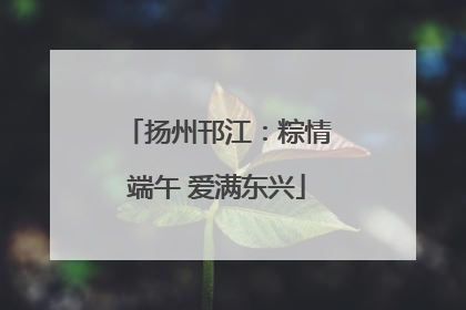 扬州邗江：粽情端午 爱满东兴