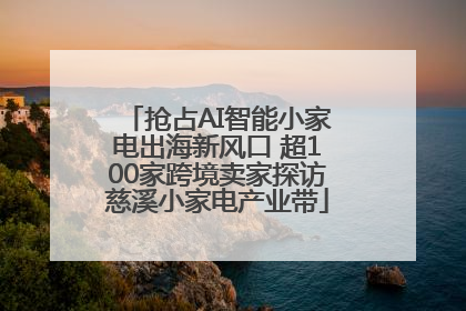 抢占AI智能小家电出海新风口 超100家跨境卖家探访慈溪小家电产业带