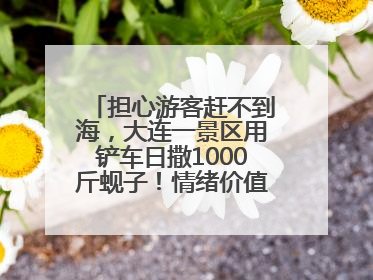 担心游客赶不到海，大连一景区用铲车日撒1000斤蚬子！情绪价值拉满！