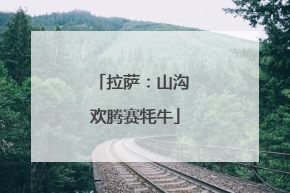 拉萨：山沟欢腾赛牦牛