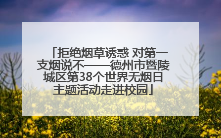 拒绝烟草诱惑 对第一支烟说不——德州市暨陵城区第38个世界无烟日主题活动走进校园