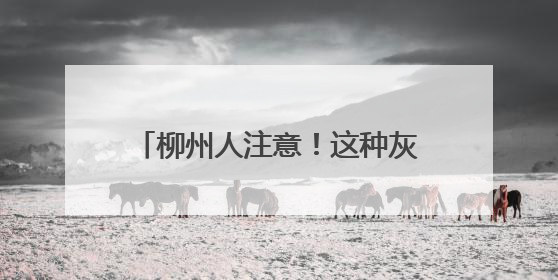 柳州人注意！这种灰黑色小虫看到一只，家里很可能已有一万只