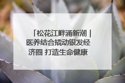 松花江畔涌新潮｜医养结合撬动银发经济圈 打造生命健康产业新样本