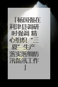 杨国强在利津县调研时强调 精心组织“三夏”生产 落实落细防汛备汛工作
