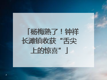 杨梅熟了！钟祥长滩镇收获“舌尖上的惊喜”