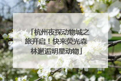 杭州夜探动物城之旅开启！快来荧光森林邂逅明星动物