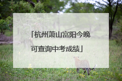 杭州萧山富阳今晚可查询中考成绩