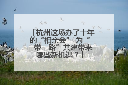 杭州这场办了十年的“相亲会” 为“一带一路”共建带来哪些新机遇？