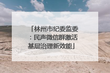 林州市纪委监委：民声微信群激活基层治理新效能