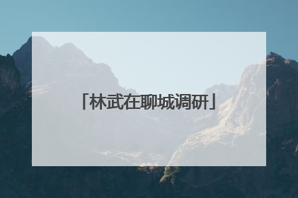 林武在聊城调研