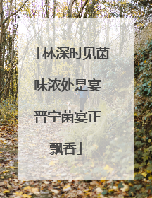 林深时见菌 味浓处是宴 晋宁菌宴正飘香