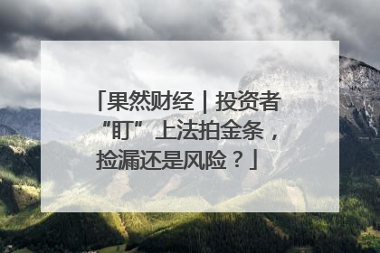果然财经｜投资者“盯”上法拍金条，捡漏还是风险？
