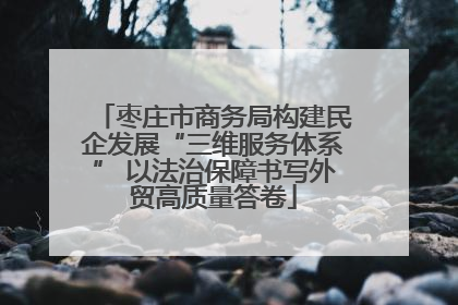 枣庄市商务局构建民企发展“三维服务体系” 以法治保障书写外贸高质量答卷