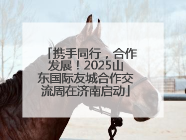 携手同行，合作发展！2025山东国际友城合作交流周在济南启动