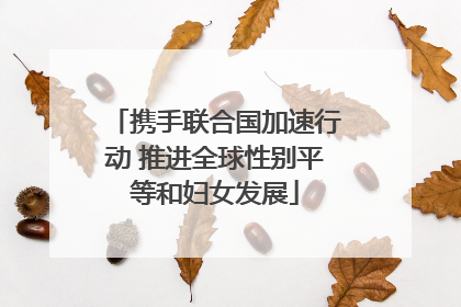 携手联合国加速行动 推进全球性别平等和妇女发展