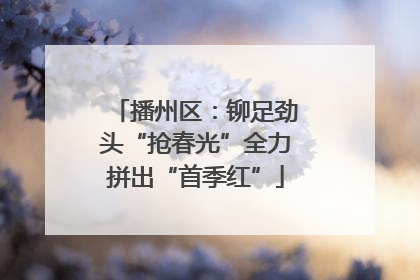 播州区：铆足劲头“抢春光”全力拼出“首季红”